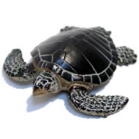 ���F঒��ރJ���ڐ}��