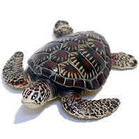 ���F঒��ރJ���ڐ}��