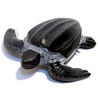 ���F঒��ރJ���ڐ}��