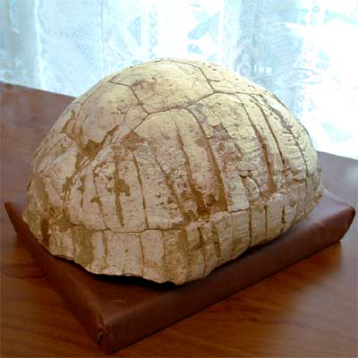 ���΁@35,000�~