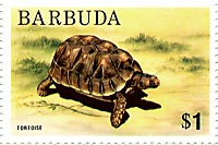 �A�J�A�V���N�K��