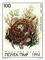 �A���_�u���]�E�K��