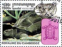 �A���_�u���]�E�K��