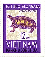 �G�����K�[�^���N�K��