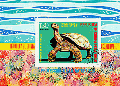 �K���p�S�X�]�E�K��