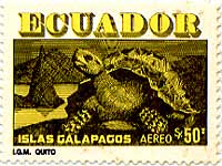 �K���p�S�X�]�E�K��