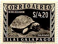 �K���p�S�X�]�E�K��