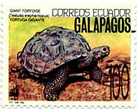 �K���p�S�X�]�E�K��