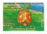 �w�T�L���N�K��