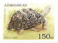 �q���E�������N�K��