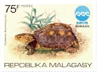 �}���[�n�R�K��