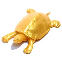 �`���R�G�b�O