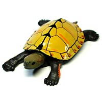 �`���R�G�b�O