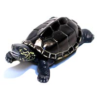 �`���R�G�b�O