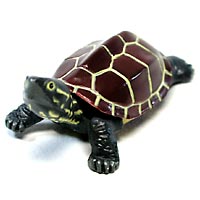 �`���R�G�b�O