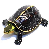 �`���R�G�b�O