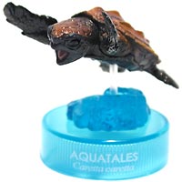 �����R���b�R