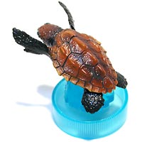 �����R���b�R