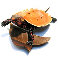 �����E�L���E���}�K��