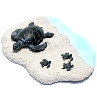 ���E���R����