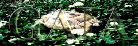 ���^�C�g��